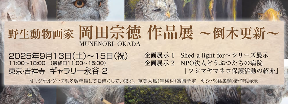 野生動物画家 岡田宗徳作品展 倒木更新