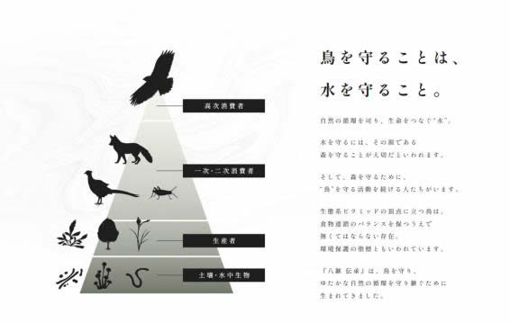 絵をとおした野生動物保護・生息地保全活動