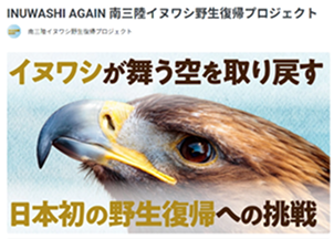 宮城県南三陸イヌワシ野生復帰プロジェクト協力3